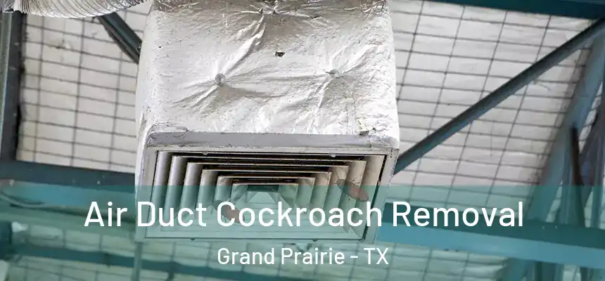  Air Duct Cockroach Removal Grand Prairie - TX