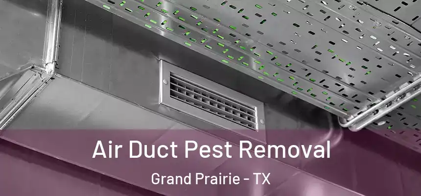 Air Duct Pest Removal Grand Prairie - TX