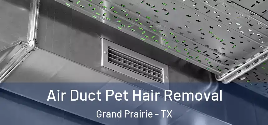 Air Duct Pet Hair Removal Grand Prairie - TX