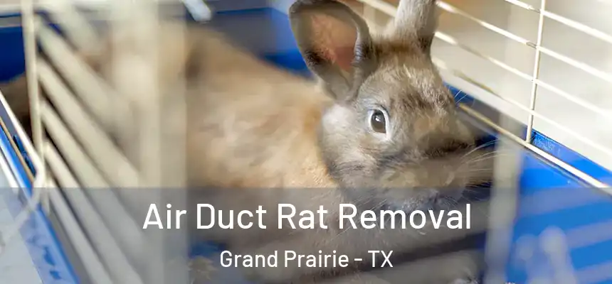 Air Duct Rat Removal Grand Prairie - TX