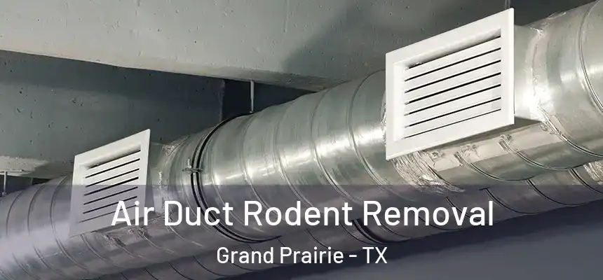 Air Duct Rodent Removal Grand Prairie - TX