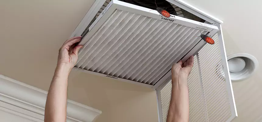 Preventive Cockroach-Proofing for Ducts in Grand Prairie