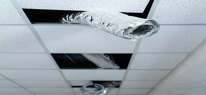 Affordable HVAC Sanitizing After Pest Removal in Grand Prairie