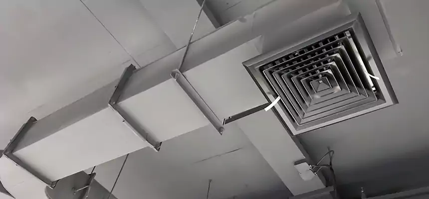 Restorative Allergy Relief Vent Cleaning – Coil, Blower & Housing Detail in Grand Prairie