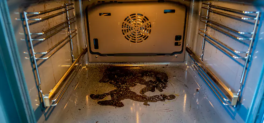 Our Dryer Vent Mold Cleaning Services in Grand Prairie, TX