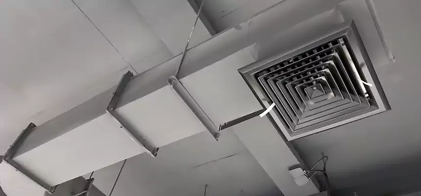 Our Pest Removal From Ducts Services in Grand Prairie, TX