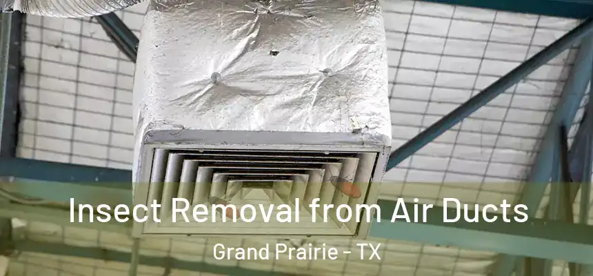  Insect Removal from Air Ducts Grand Prairie - TX