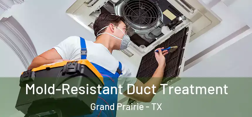 Mold-Resistant Duct Treatment Grand Prairie - TX