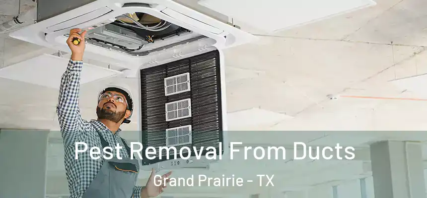 Pest Removal From Ducts Grand Prairie - TX