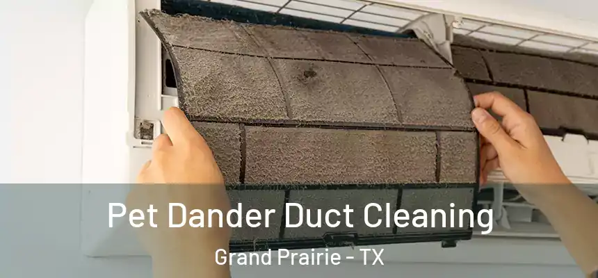  Pet Dander Duct Cleaning Grand Prairie - TX
