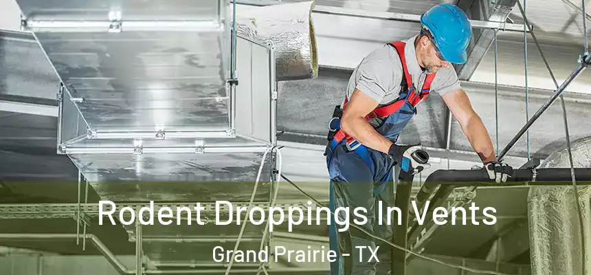 Rodent Droppings In Vents Grand Prairie - TX