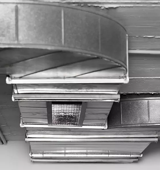 Professional Air Duct Pest Removal in Grand Prairie, TX