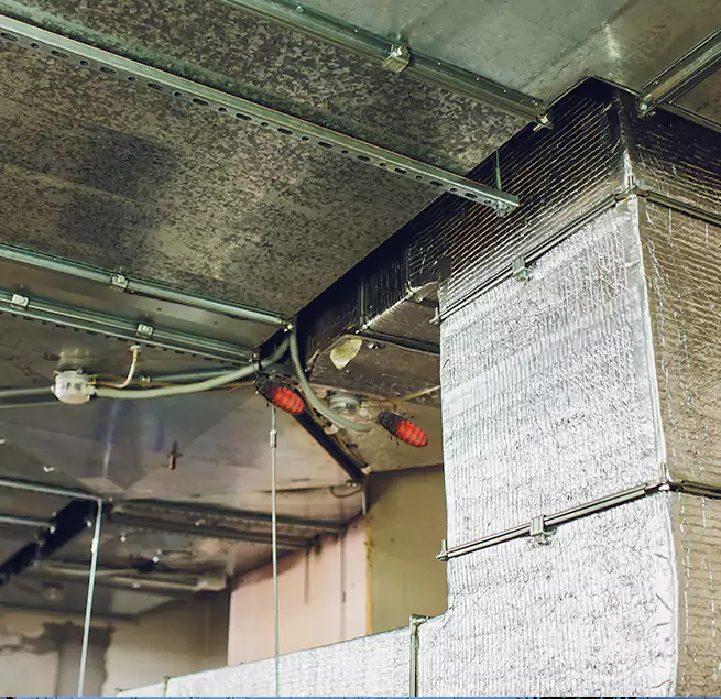 Why Homeowners & Businesses Trust Us in Grand Prairie, TX?