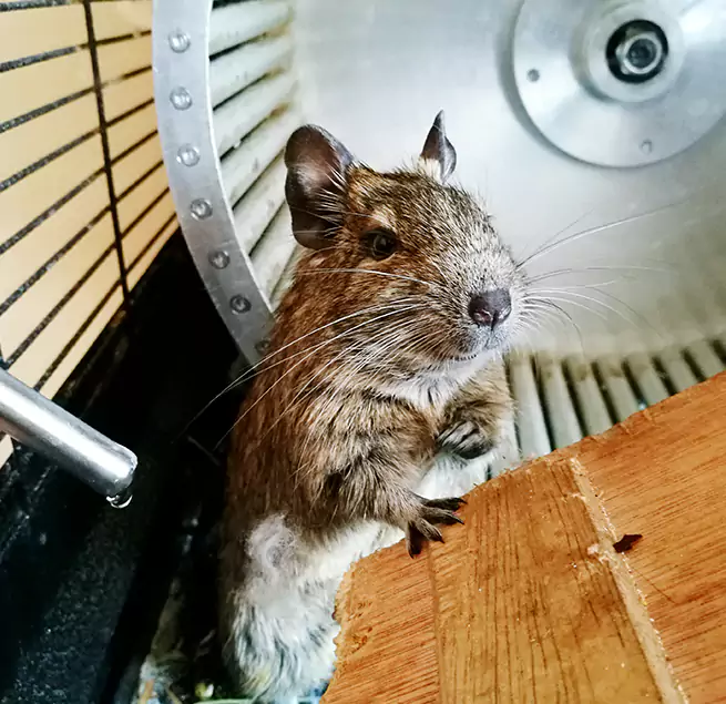 Why Homeowners & Businesses Trust Us Grand Prairie, TX?