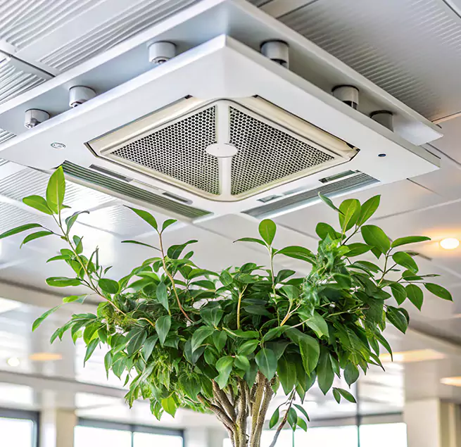 Why Homeowners & Businesses Trust Us in Grand Prairie, TX?