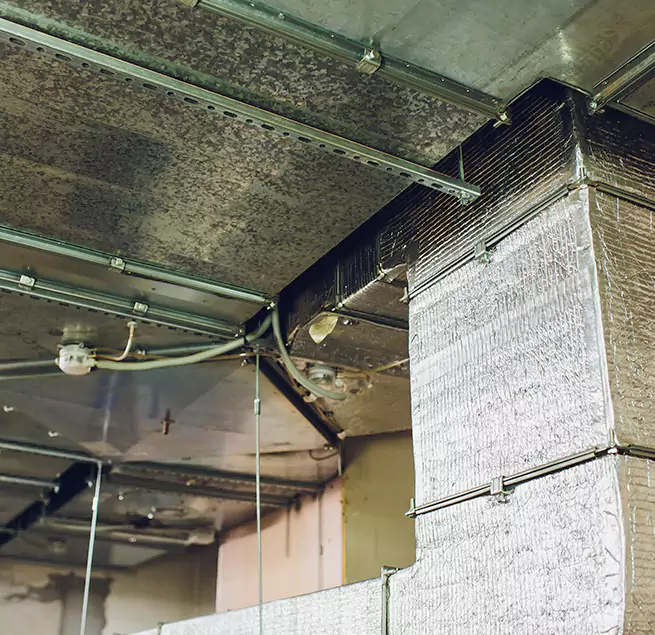 Why Homeowners & Businesses Trust Us in Grand Prairie, TX?